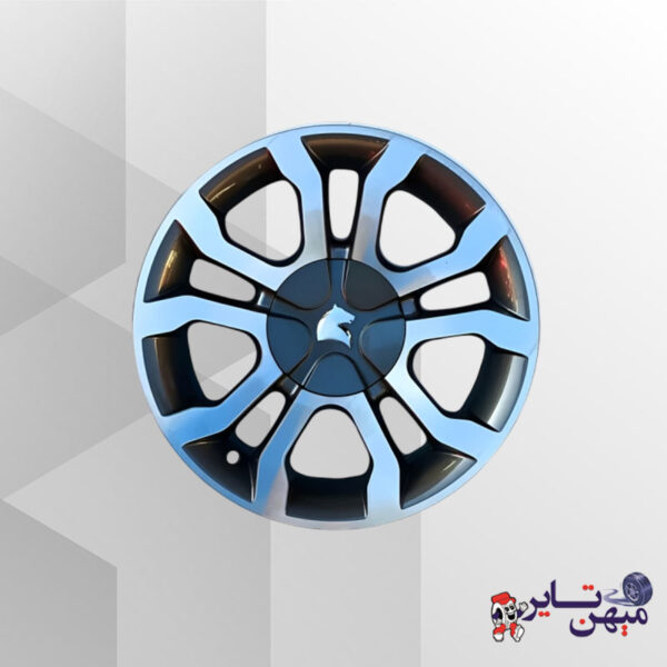 رینگ 029